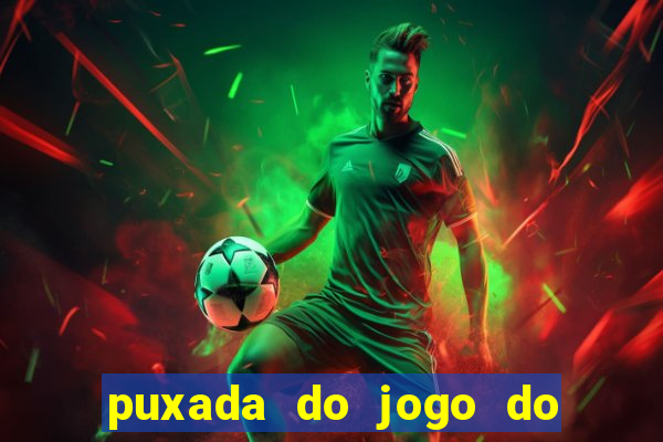 puxada do jogo do bicho da sueli